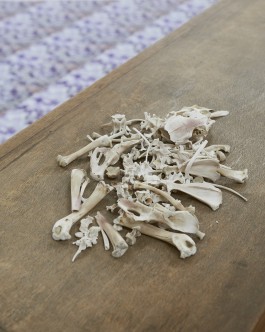  Erlkönig Bremen Felix Gienger & Max Santo, 2015