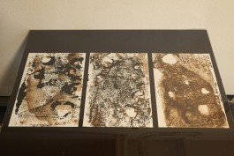  Erlkönig Bremen Lisa Ballmann & Forster Herchenbach, 2017