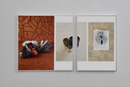  Erlkönig Bremen Nomwindé Vivien Sawadogo & Pio Rahner, 2017