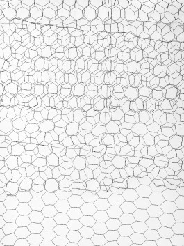  Erlkönig Bremen Gisela Bullacher, 2018