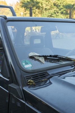  Kunstverein St. Pauli & Erlkönig Bremen, 2018