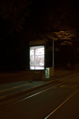 Erlkönig Bremen Sichten, 2020