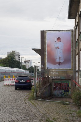  Kandalowski Kartierung Erlkönig 2021