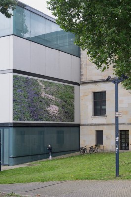  Linke Kartierung Erlkönig 2021