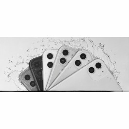  Schmid Kartierung Erlkönig 2021